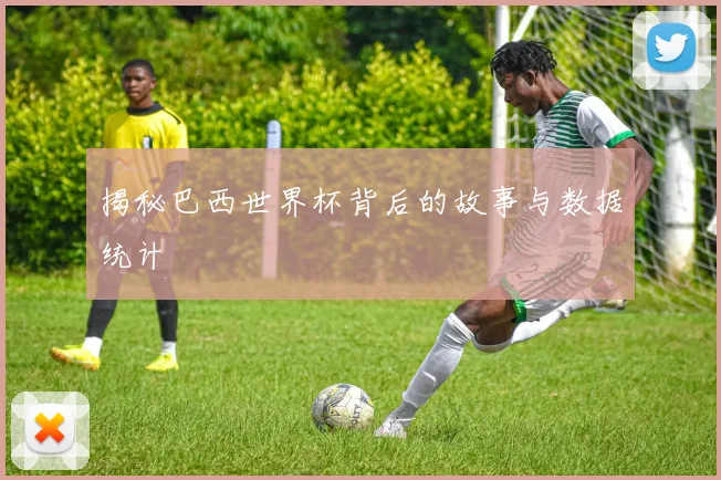 揭秘巴西世界杯背后的故事与数据统计