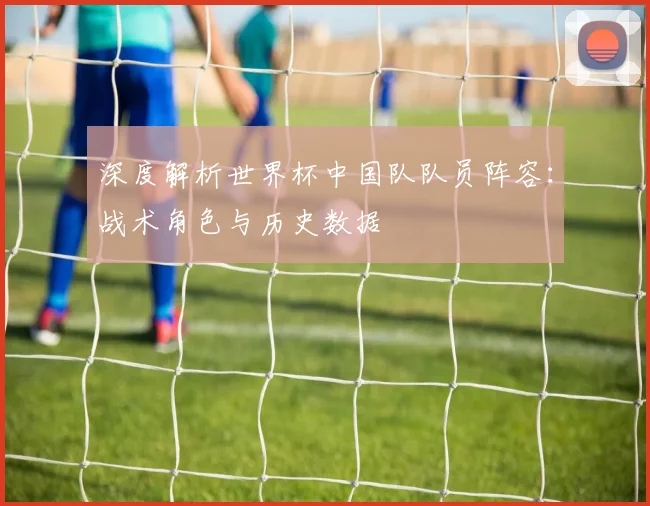 深度解析世界杯中国队队员阵容：战术角色与历史数据